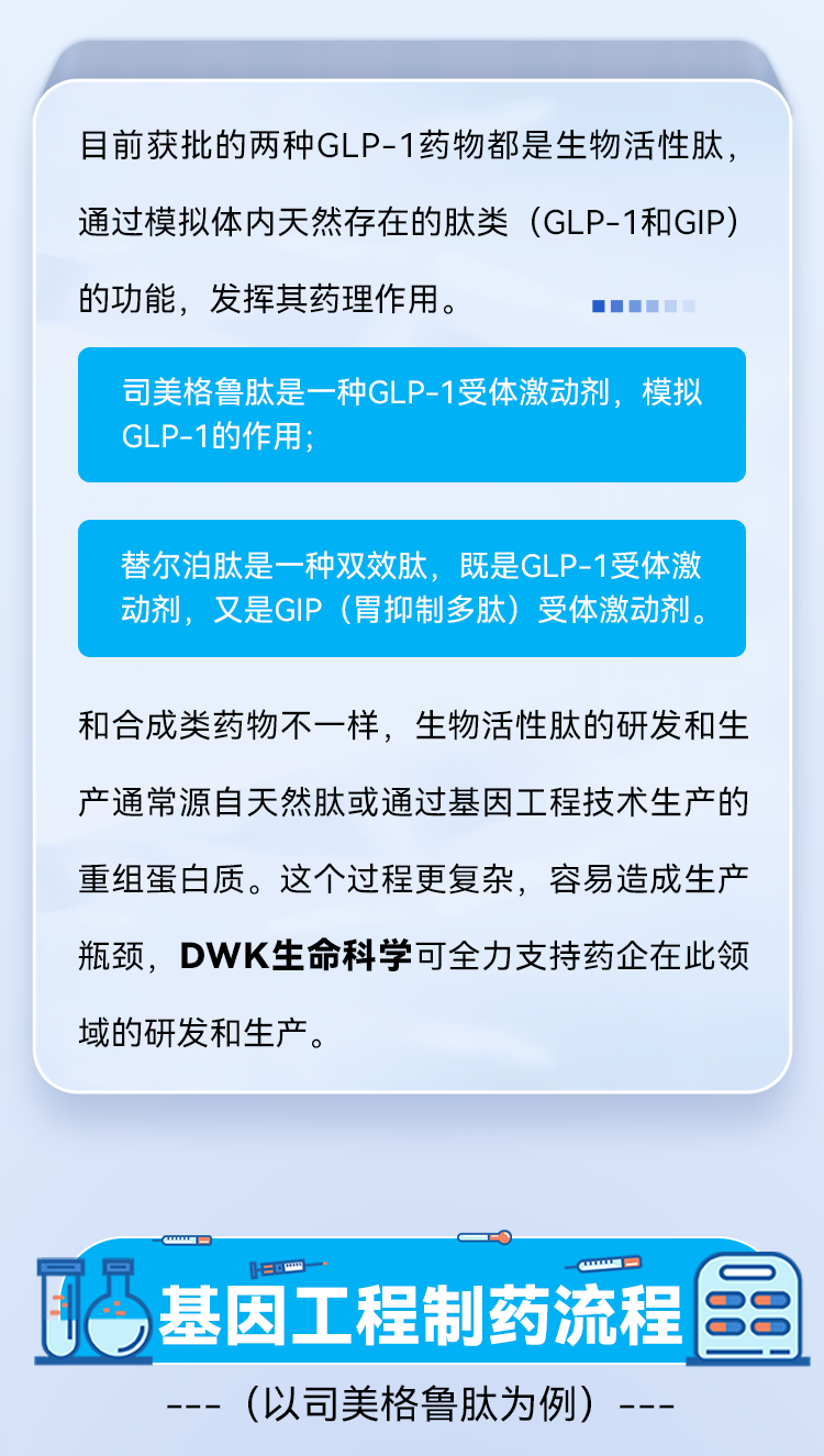 目前获批的两种GLP-1药物都是生物活性肽，通过模拟体内天然存在的肽类（GLP-1和GIP） 的功能，发挥其药理作用。 司美格鲁肽是一种GLP-1受体激动剂，模拟GLP-1的作用； 替尔泊肽是一种双效肽，既是GLP-1受体激动剂，又是GIP（胃抑制多肽）受体激动剂。 和合成类药物不一样，生物活性肽的研发和生产通常源自天然肽或通过基因工程技术生产的重组蛋白质。这个过程更复杂，容易造成生产瓶颈，DWK生命科学可全力支持药企在此领域的研发和生产。