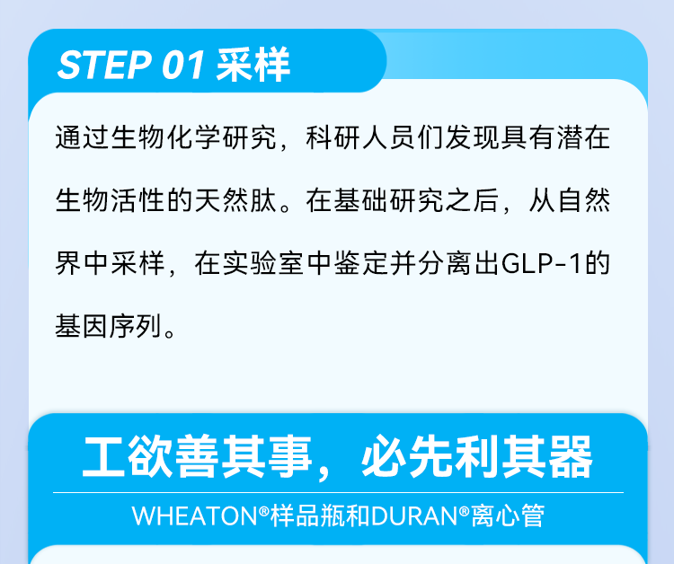 STEP 01 采样 通过生物化学研究，科研人员们发现具有潜在生物活性的天然肽。在基础研究之后，从自然界中采样，在实验室中鉴定并分离出GLP1的基因序列。
